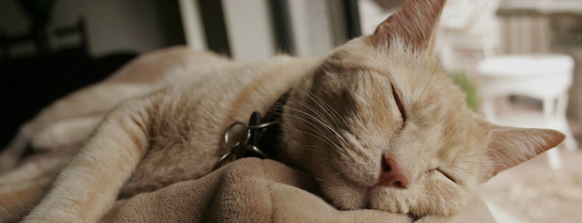 Отдых Отдых